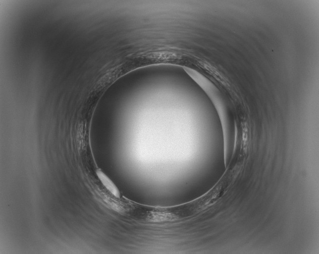 X0000084020605200702161230