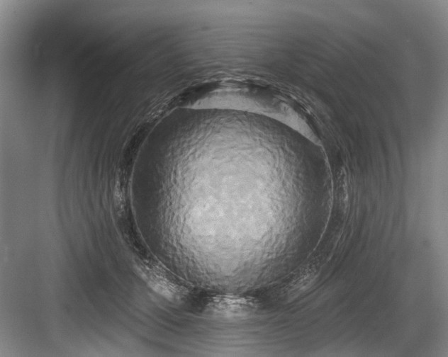 X0000084020607200702161229