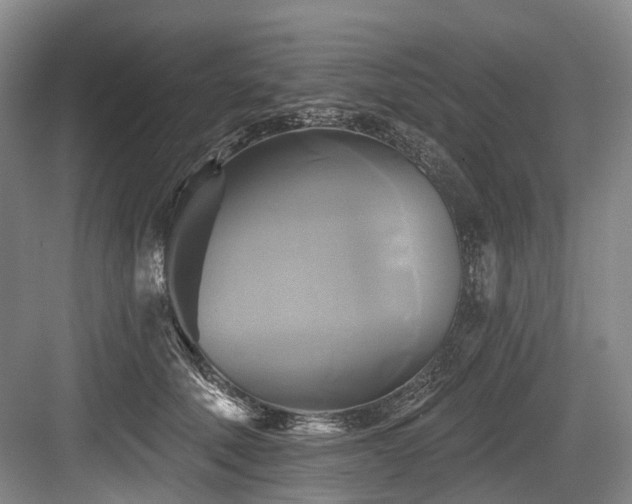 X0000084020610200702161229