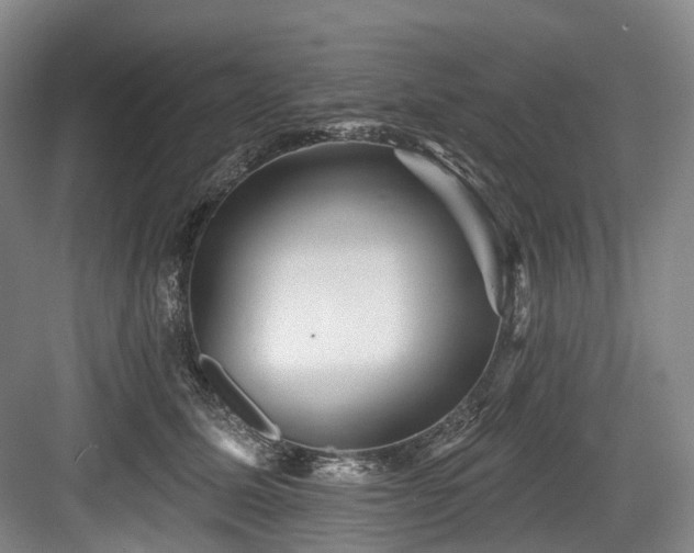 X0000084020611200702161229