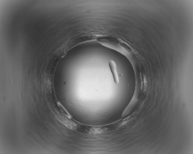 X0000084020613200702161229
