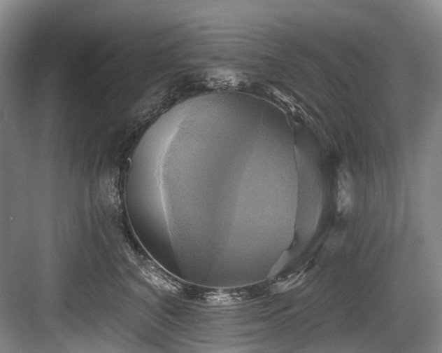 X0000084020616200702161229