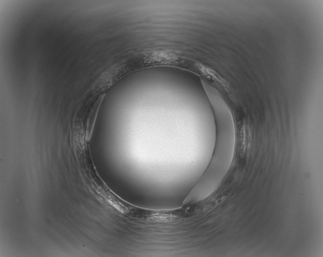 X0000084020617200702161229