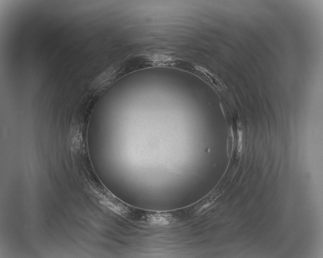 X0000084020618200702161229