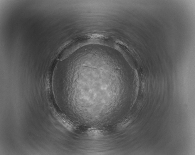 X0000084020620200702161229