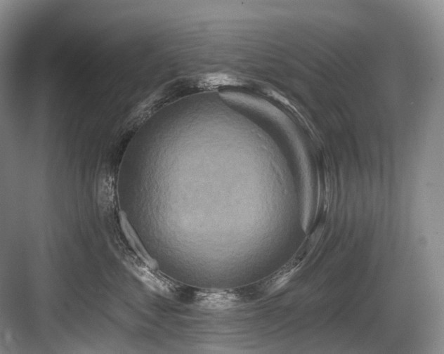 X0000084020621200702161229