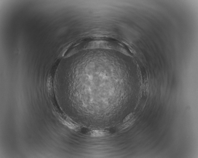 X0000084020623200702161229