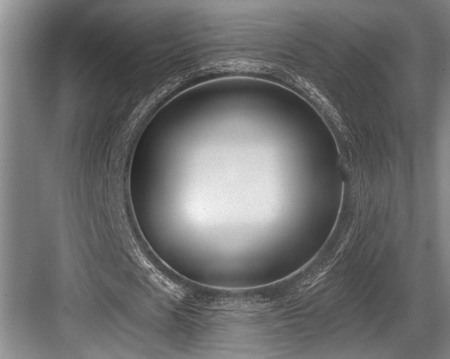 X0000084020625200702161228