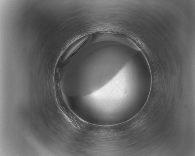 X0000084020626200702161228