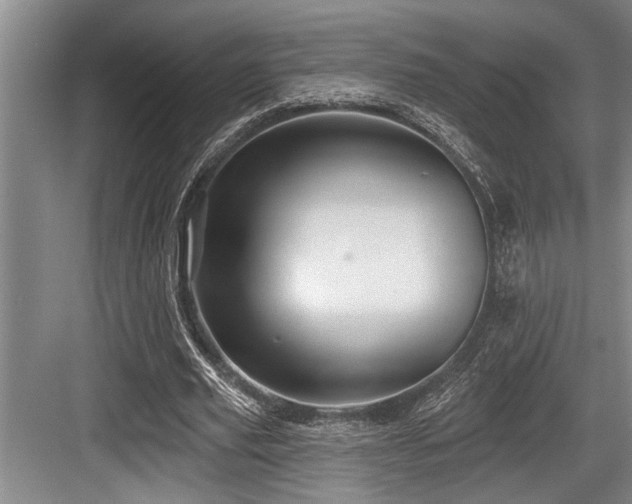 X0000084020629200702161228