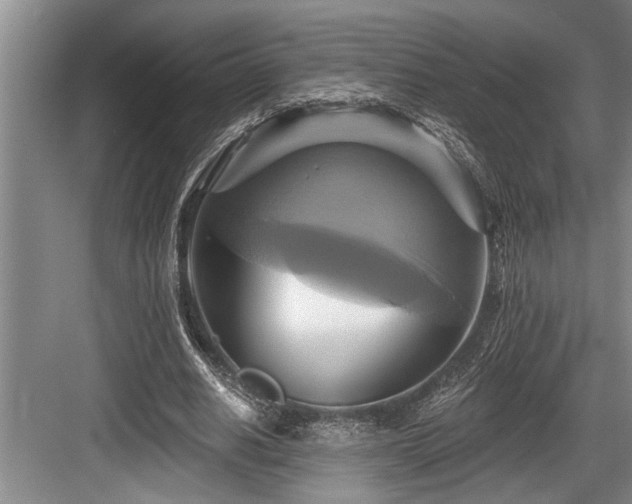 X0000084020630200702161228