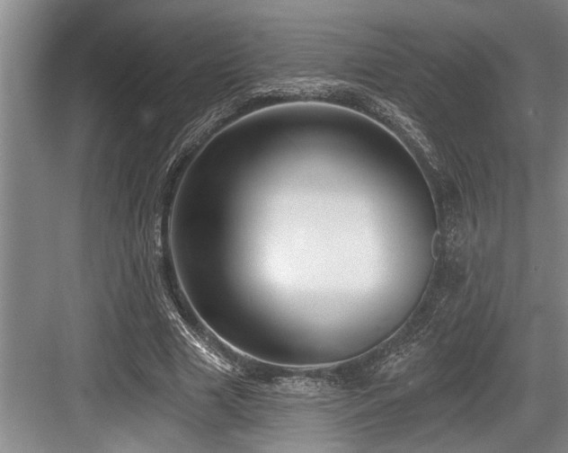 X0000084020633200702161229