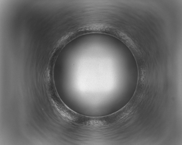 X0000084020636200702161229