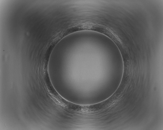 X0000084020641200702161229