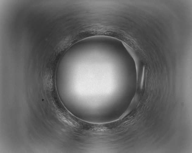 X0000084020642200702161229
