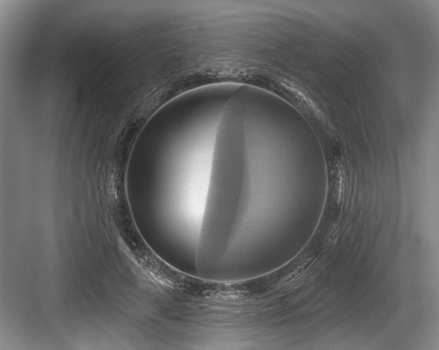 X0000084020643200702161229