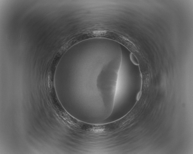 X0000084020651200702161229