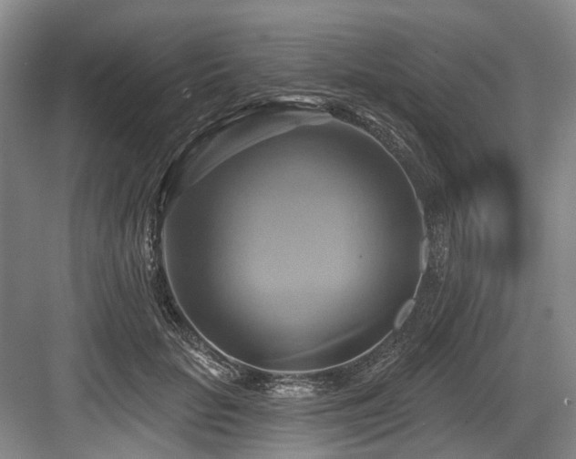 X0000084020653200702161229