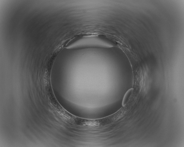 X0000084020659200702161229