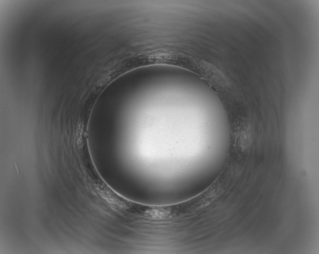 X0000084020660200702161229