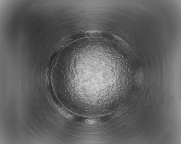 X0000084020662200702161229