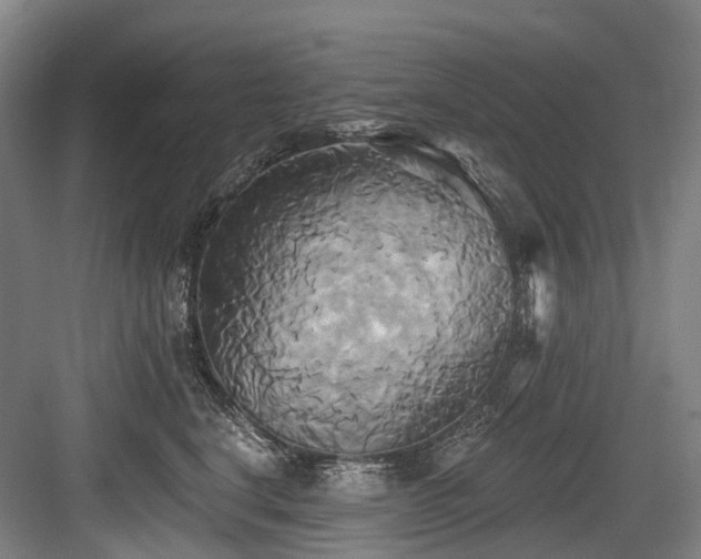 X0000084020664200702161229