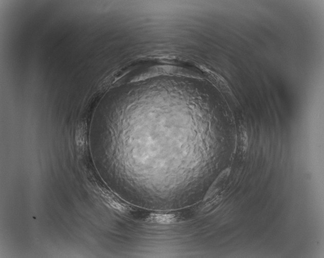 X0000084020665200702161229