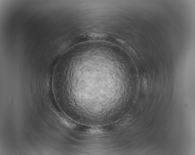 X0000084020668200702161229