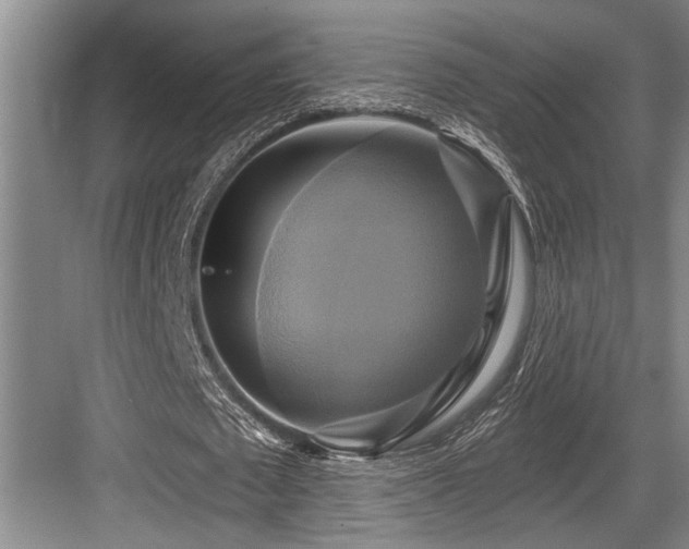 X0000084020673200702161228