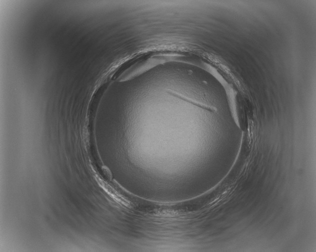 X0000084020677200702161228
