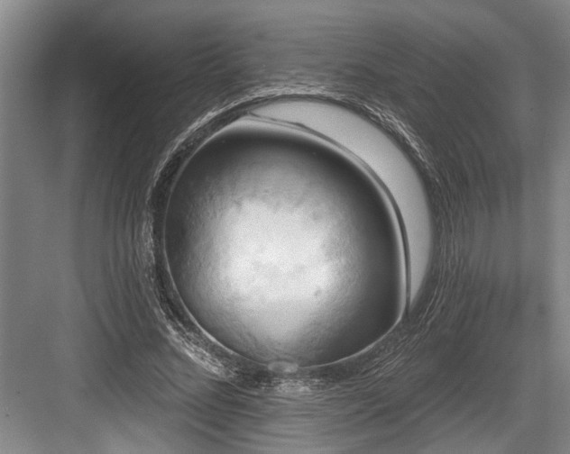 X0000084020684200702161228