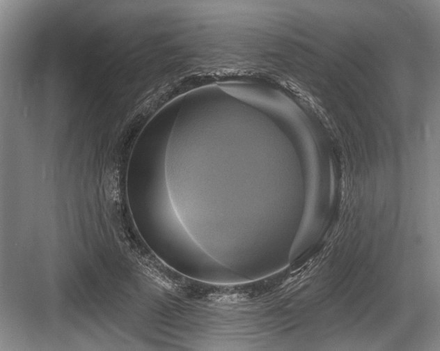 X0000084020689200702161228