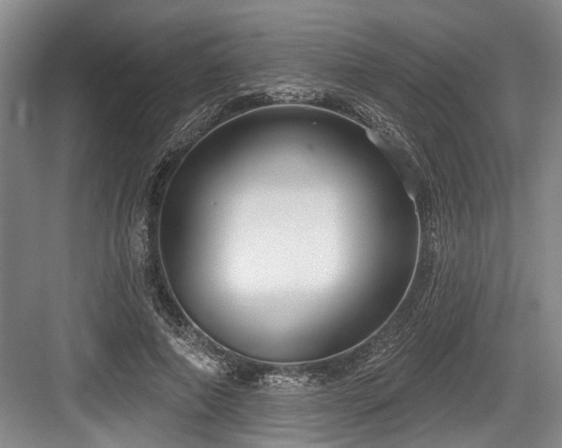 X0000084020690200702161228