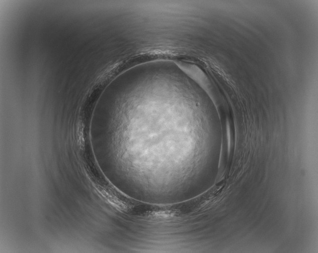 X0000084020692200702161228