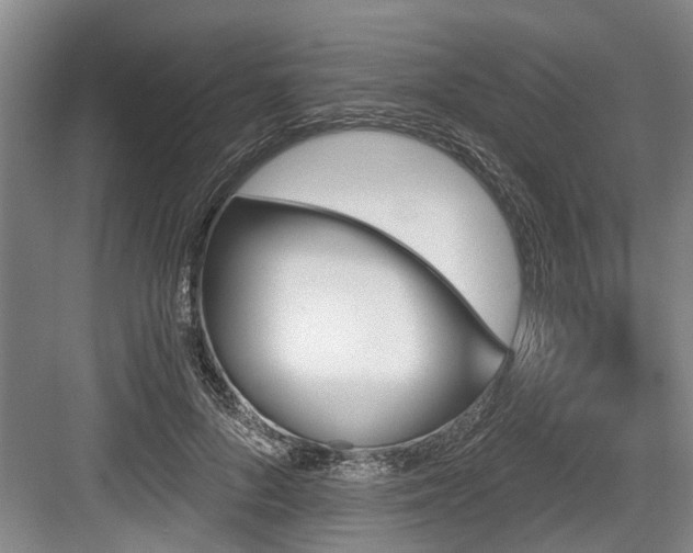 X0000084020696200702161228