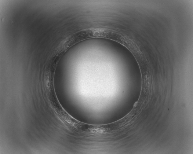X0000084020698200702161228