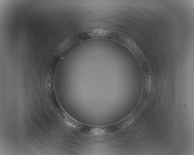 X0000084020701200702161228