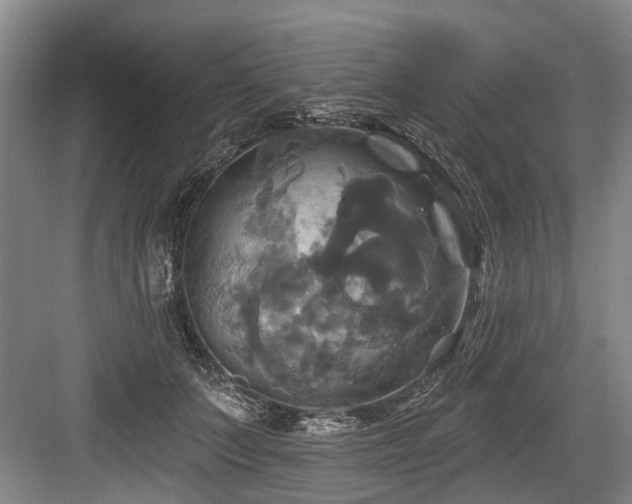 X0000084020703200702161228