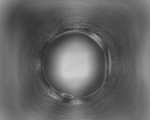 X0000084020704200702161228