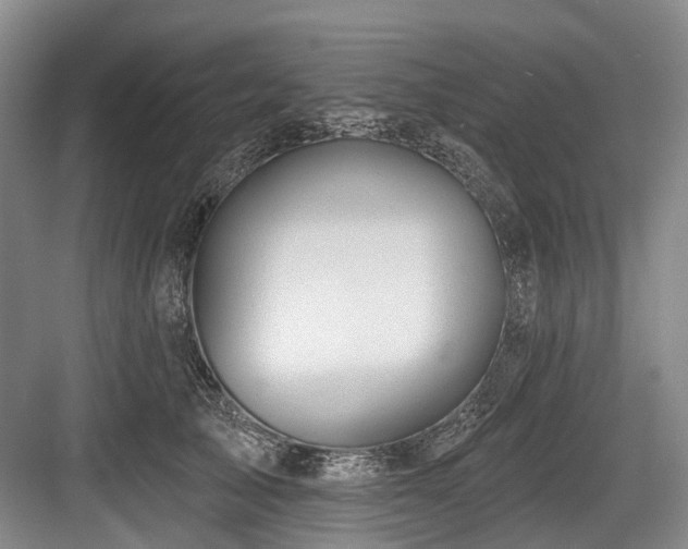X0000084020705200702161228