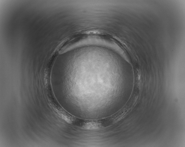 X0000084020708200702161228