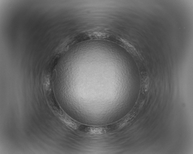 X0000084020709200702161228