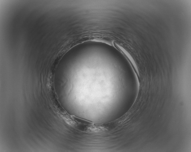 X0000084020712200702161228