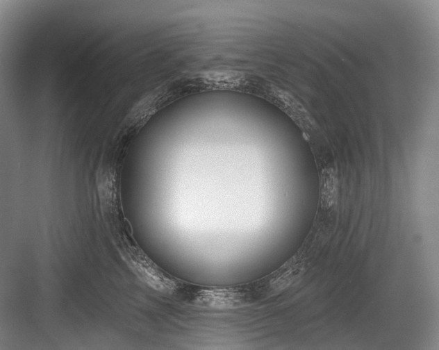 X0000084020713200702161228