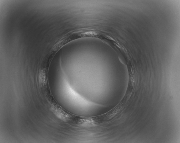 X0000084020715200702161228