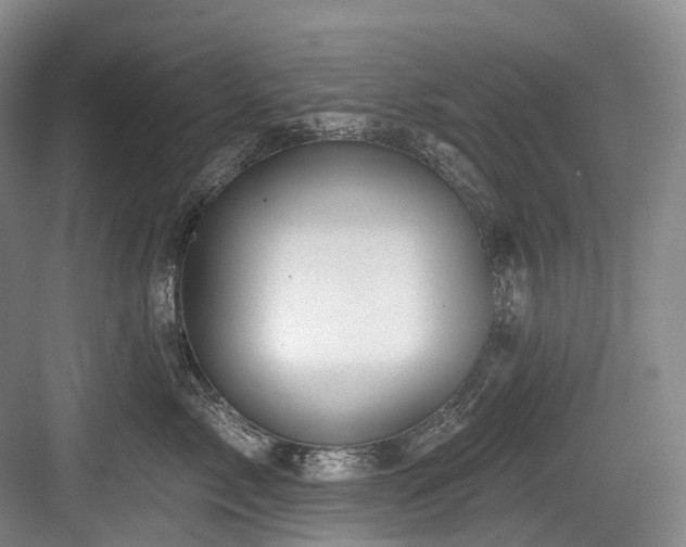 X0000084020717200702161228