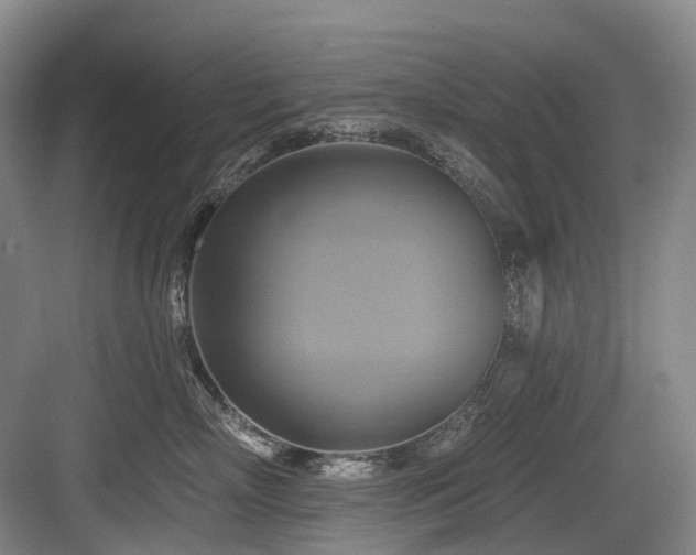 X0000084020718200702161228