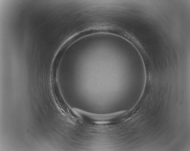 X0000084020724200702161227