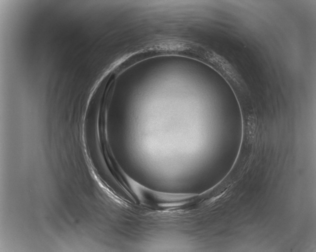 X0000084020726200702161227