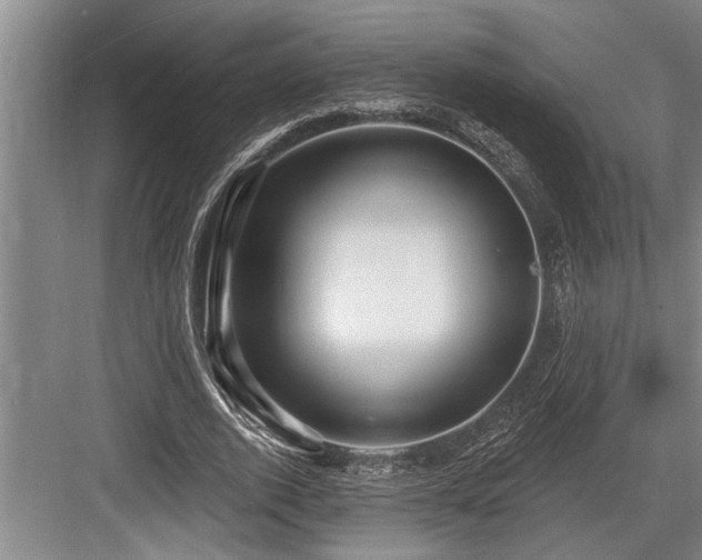 X0000084020728200702161227